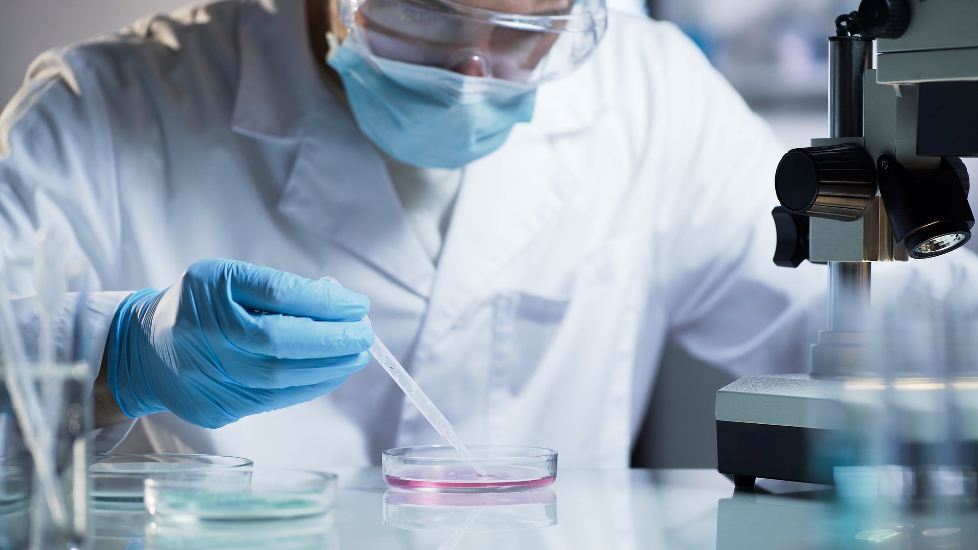 Caption bottom image